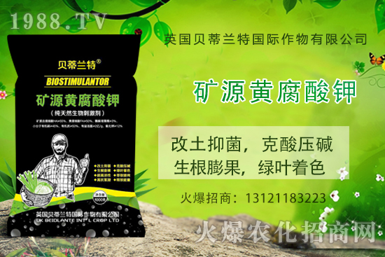 ���ÿ���ô�B(y��ng)�����ÿ��B(y��ng)ֳ������ע�����(xi��ng)��