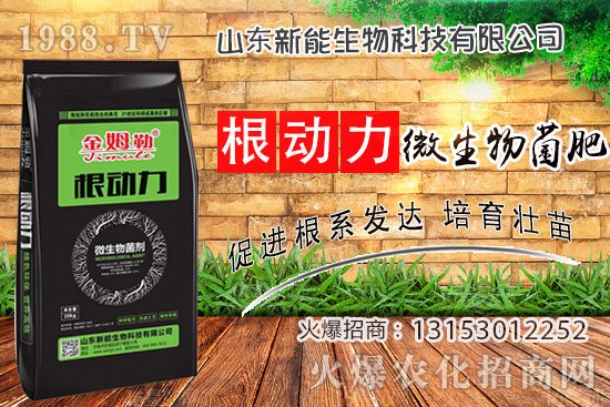 ����������ʲô����ʹ�á�΢������ʡ���ʲô��(y��u)�ݣ�