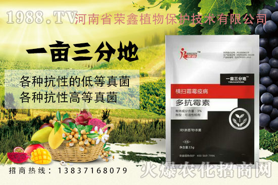 �׷����C����˪ù�������y��������ˎ������Щ�������a(ch��n)Ʒ�R����