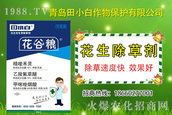 �������s�ݷN�(l��i)�����������݄���ô�x������������ˎ���]��