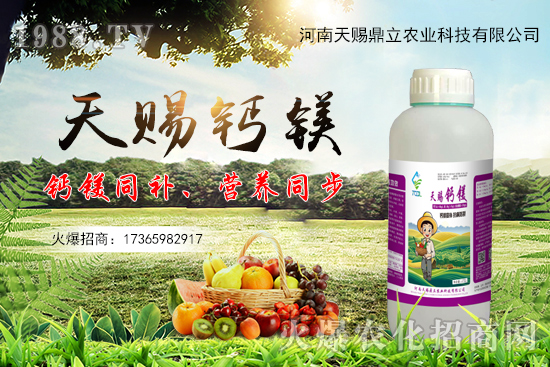 ���n������ʲô��(y��u)�������n�������Ʈa(ch��n)Ʒ����Щ��