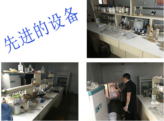 �O(sh��)�����M