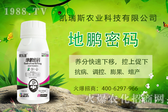 �P��˹�r(n��ng)�I(y��)��ô�ӣ��P��˹�r(n��ng)�I(y��)����a(ch��n)Ʒ����Щ��