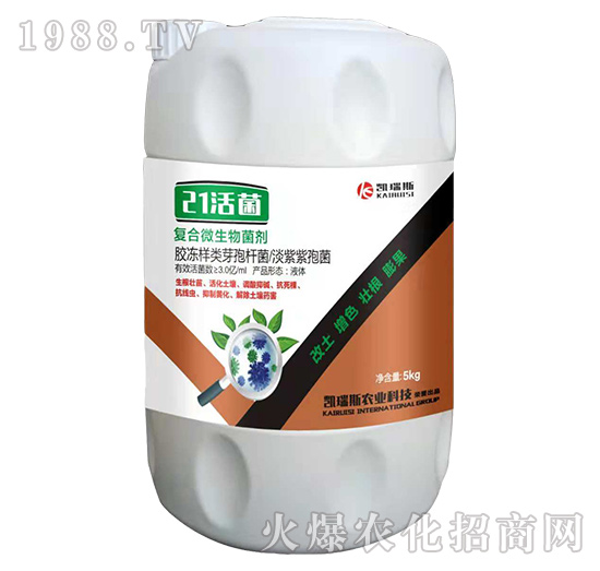 �P��˹�r(n��ng)�I(y��)��ô�����P��˹�r(n��ng)�I(y��)����a(ch��n)Ʒ����Щ��