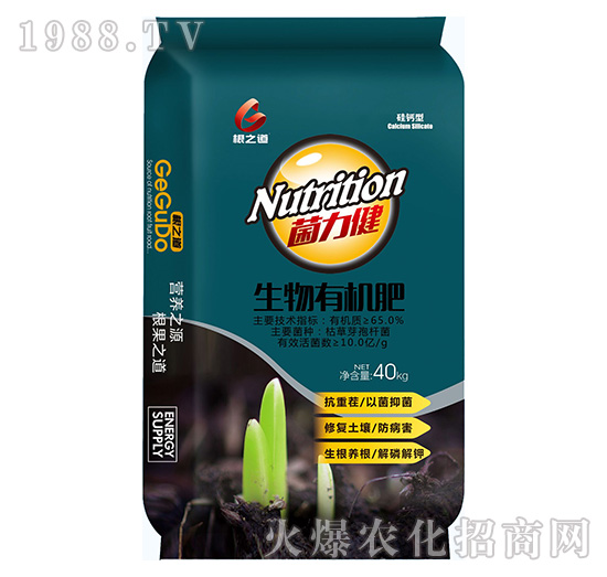 Ҫ�����������ϵ����Ҫ���۹��֮����ô�ӣ�����Щ����a(ch��n)Ʒ��