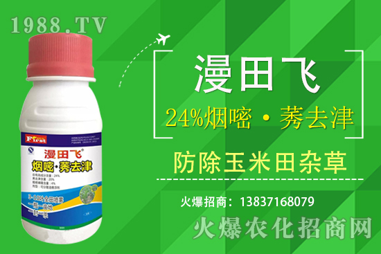 24%���ס�ݬȥ�����Ч���Æ᣿24%���ס�ݬȥ����ʲô���c��