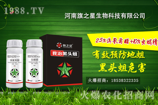 ������֮����ô�ӣ�������֮�ǚ����a(ch��n)Ʒ����Щ��