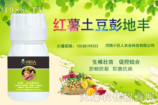 ����С������ô������˾��ʲô��(y��u)��(sh��)�����Ʈa(ch��n)Ʒ����Щ��