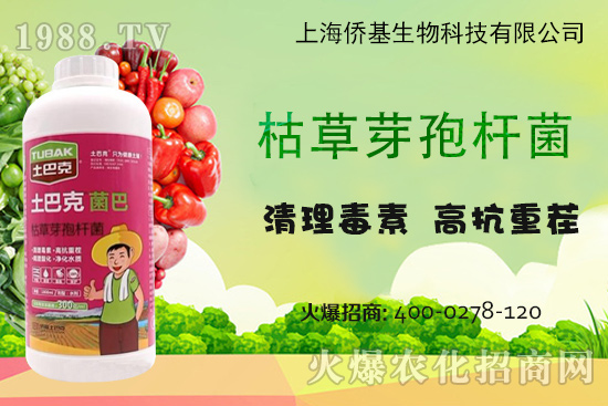 �Ϻ��S�������Ϳˡ�-��ע�����������غ������ޏ�(f��)15����