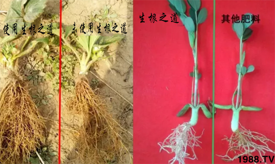 �����ϵ��a(ch��n)���ͣ�������֮���������¸����������a(ch��n)�o(w��)�n��