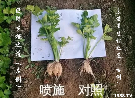 �����ϵ��a(ch��n)������������֮���������¸����������a(ch��n)�o(w��)�n��