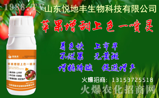 �O������(b��o)