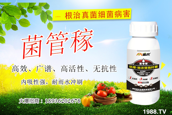 ���䝢��Σ����ʲô�����䝢�������Ά�������ˎ������Щ��