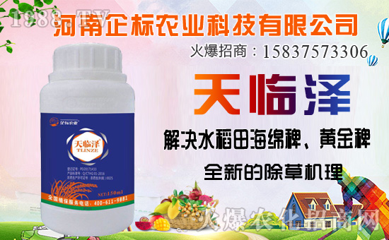 ���ݰ����ݙC(j��)�������ݰ��ܷ�����Щ����ʹ��ע�����(xi��ng)����Щ��