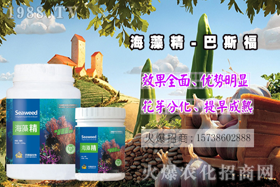  ߀���˽⺣�徫��ɶ����������out�������徫�����ж����