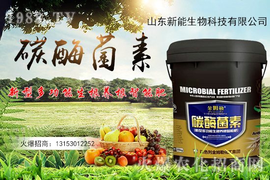 һ�ʶ��ã��ЙC(j��)̼+����ø+�����+�I�B(y��ng)Ԫ����̼ø������ʲô������