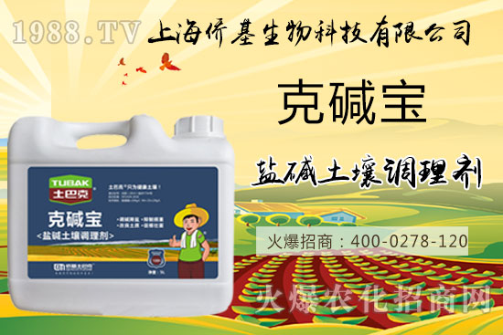 �����}�AΣ���󣬡��ˉA���������}�A��߀��һƬ������