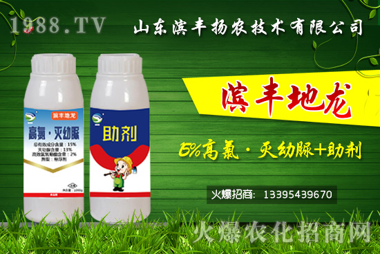 ���^�������������������Ч���Σ���15%���ȡ�������+�����������p���U(xi��n)��	