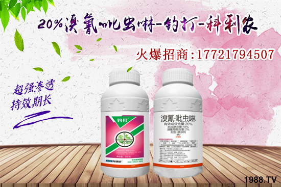 �������x���l(f��)̫���������x��ô��Ч���������x���η�������Щ��