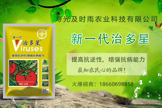 ���Ѳ�������֪���׷N�����Ӻ������η��Ѳ�������(��(n��i)�����η���) 