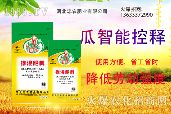 �������������Щ������ʵ�ʹ�÷�����ԓ����xُ(g��u)��