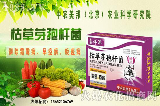 �ݲ�ѿ�ߗU���θ������ᣬ������Щ�������������Ό�(du��)������Щ��