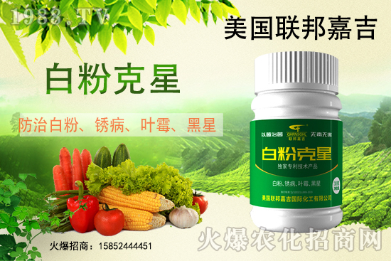 �׷۲����݁��u������(f��)�l(f��)������β���ô������׷۲������]��