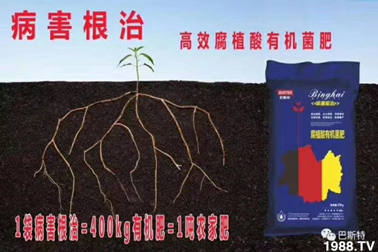     ���׌�Nֲ׃�ø��p����һ���ײ���ȫ���䷽����˹�ش󽪠I�B(y��ng)�ײͷ�����