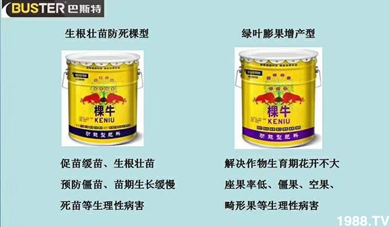     ���׌�Nֲ׃�ø��p����һ���ײ���ȫ���䷽����˹�ش󽪠I�B(y��ng)�ײͷ�����