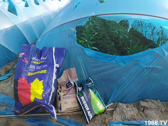     ���׌�Nֲ׃�ø��p����һ���ײ���ȫ���䷽����˹�ش󽪠I�B(y��ng)�ײͷ�����