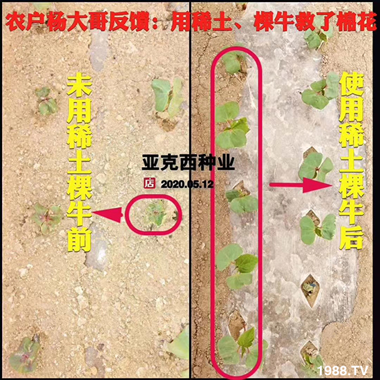     ���׌�Nֲ׃�ø��p����һ���ײ���ȫ���䷽����˹�ش󽪠I�B(y��ng)�ײͷ�����