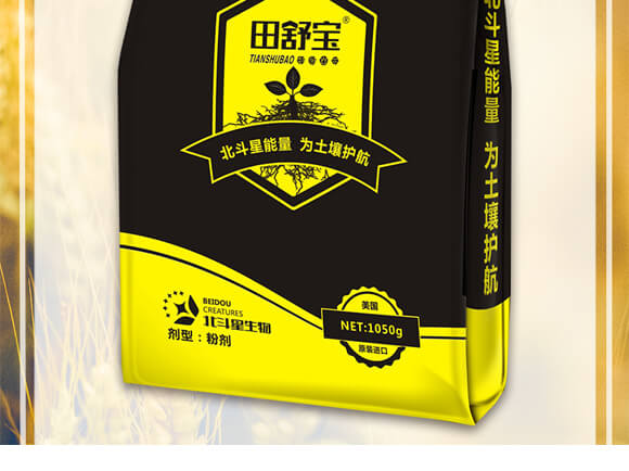 ̼�ܾ�ĸ-���挚-������_02