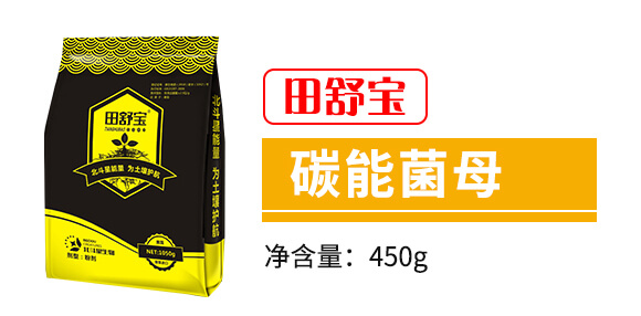 ̼�ܾ�ĸ-���挚-������_03