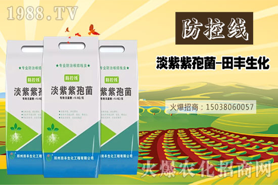 ���׵���