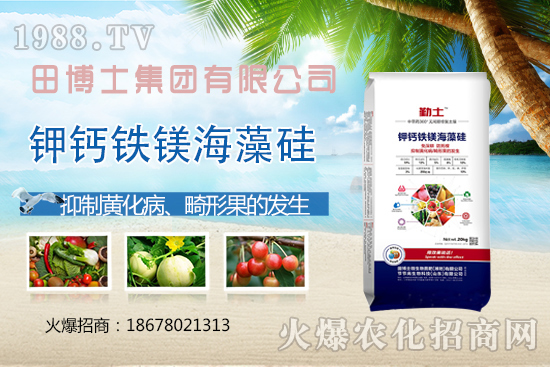 Խ�ķ��ѻ��ι����a(ch��n)���ϲ�ȥ�����η��ѻ��ι����@ЩҪ�I(l��ng)�����գ�