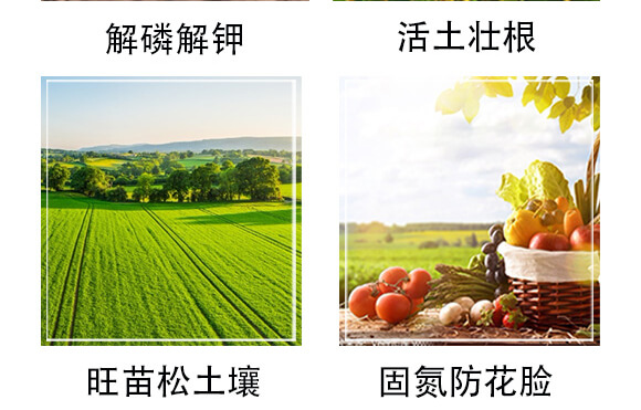 ΢�������-ِ����_(k��i)05