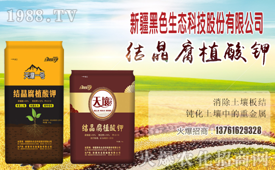 �Y(ji��)����ֲ��⛺���