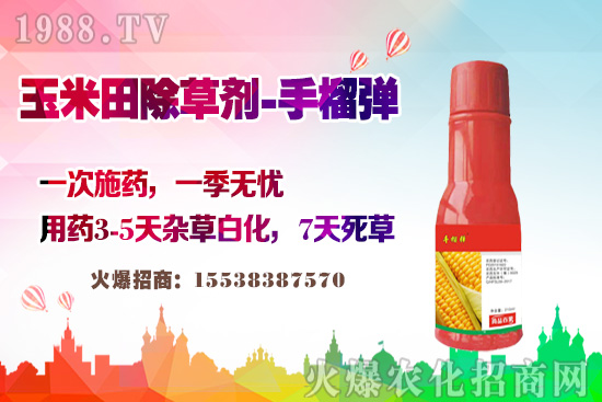 ������������v�������׳��݄��@�Ӵ������L�s�ݲ�������