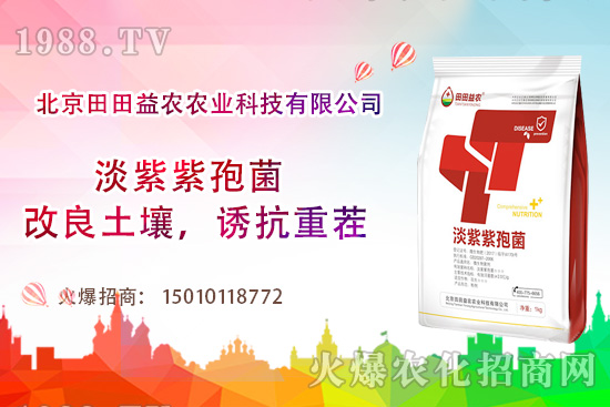 ���t��������c����Щ�����t���ļ���ι�����