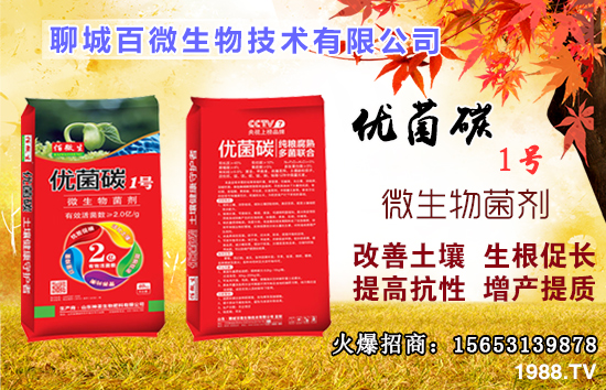 ��Ԫ����ʲô����������ȱ����ʲô�����ʲô�r���a����