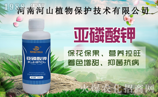 С�����߼Ӵa�������u�Z��2020��8��14��С���r��������