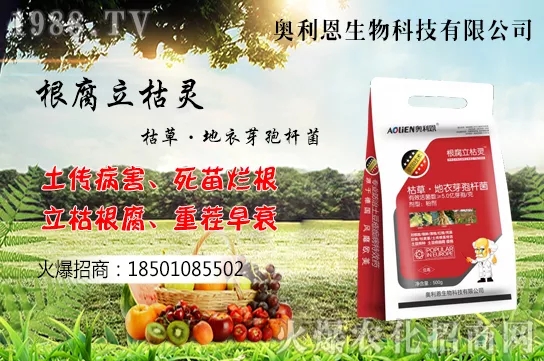 �S����ʲô����(ji��)�������S���˷Nֲ������B��