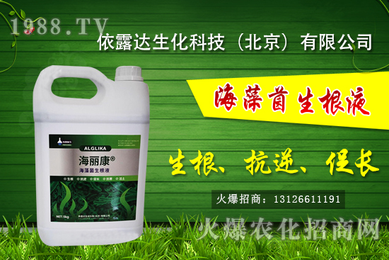 �J��������ЩƷ�N���J���Һ��殐����ʲô�^(q��)�e��