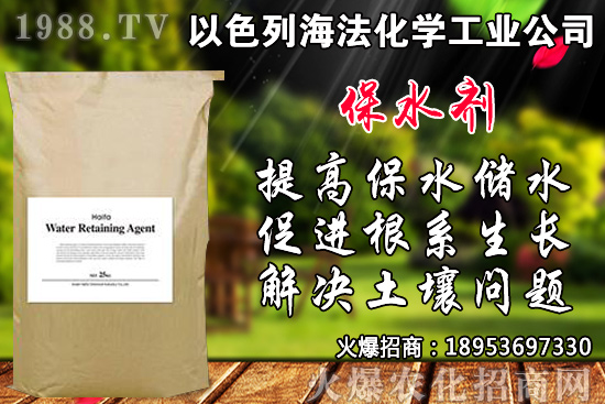 芹菜如何種植？品種如何選擇？芹菜播種時(shí)間及種植技術(shù)！