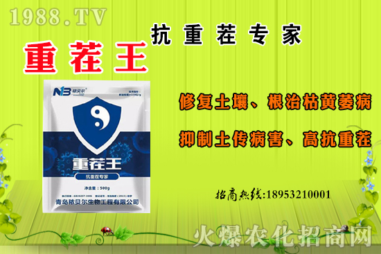 ɽ��ʲô����(ji��)������ɽ�����Ҫ�a(ch��n)������������ôʳ����