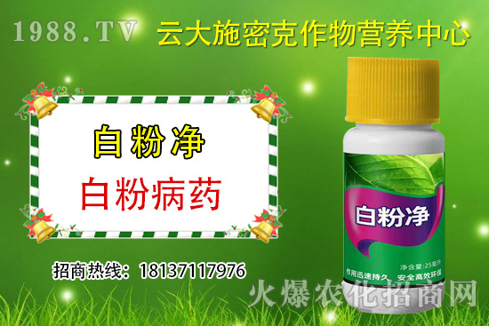 ʲô��ֲ��Դ�r(n��ng)ˎ��ֲ��Դ�r(n��ng)ˎ�c���W(xu��)�r(n��ng)ˎ�^(q��)�e���ģ�