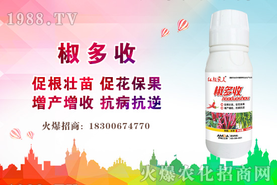 С���r������Xһ����2020�����С���r��߀���ϝq����