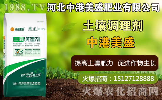 ��ˎ̫�Ӆ�ʲô�r(sh��)�g�Nֲ��̫�Ӆ�ʲô�r(sh��)���ի@���ã����Nֲ���g(sh��)��