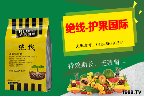 �Ә����L�l������Щ���Ә�����������g(sh��)��