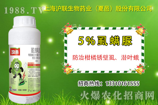 �����P��ʭ��ʲô�Y������ô���Σ������P��ʭ��ˎ���]